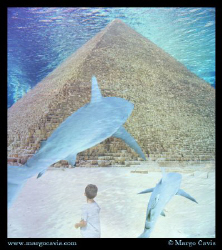 Pyramid underwater.  by Margo Cavis 
